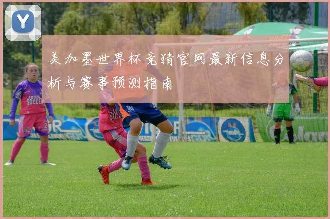 美加墨世界杯竞猜官网最新信息分析与赛事预测指南