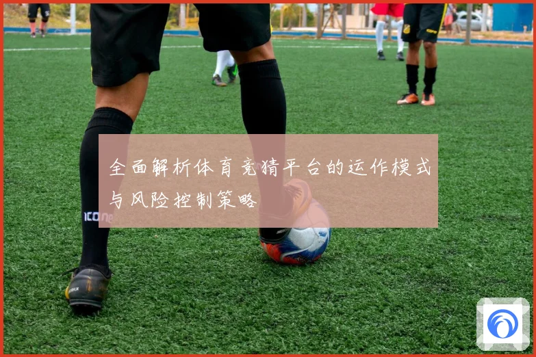 全面解析体育竞猜平台的运作模式与风险控制策略