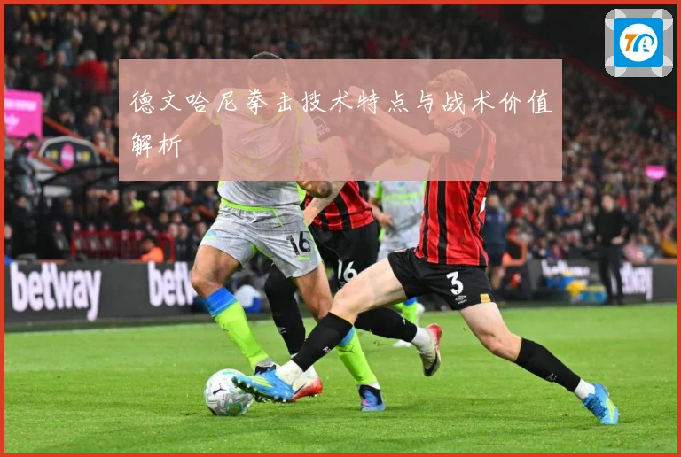 德文哈尼拳击技术特点与战术价值解析