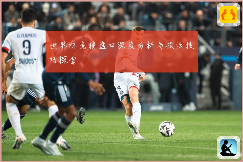 世界杯竞猜盘口深度分析与投注技巧探索