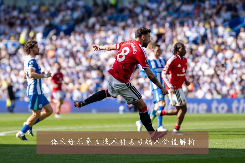 德文哈尼拳击技术特点与战术价值解析